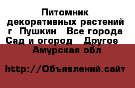 Питомник декоративных растений г. Пушкин - Все города Сад и огород » Другое   . Амурская обл.